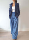 Parrot Blazer